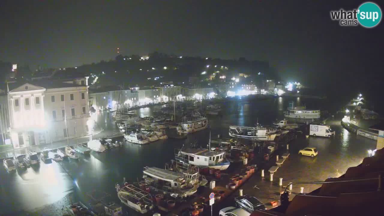 Iz Pirana Spletna kamera v živo “Mandrač” – Neverjeten pogled v živo iz Vile Piranesi