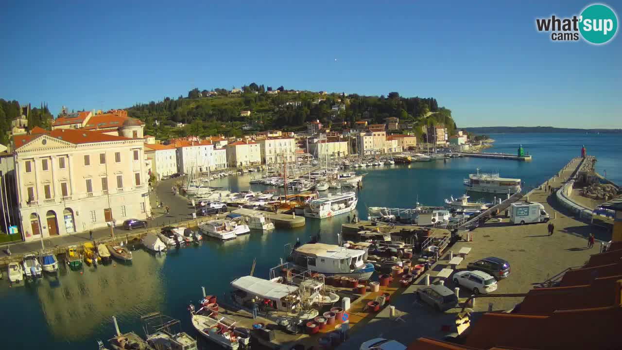 Web kamera uživo iz Pirana “Mandrač” – Nevjerojatan pogled uživo iz Ville Piranesi