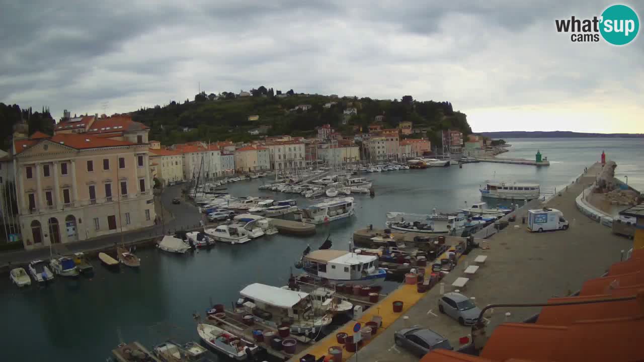 Web kamera uživo iz Pirana “Mandrač” – Nevjerojatan pogled uživo iz Ville Piranesi