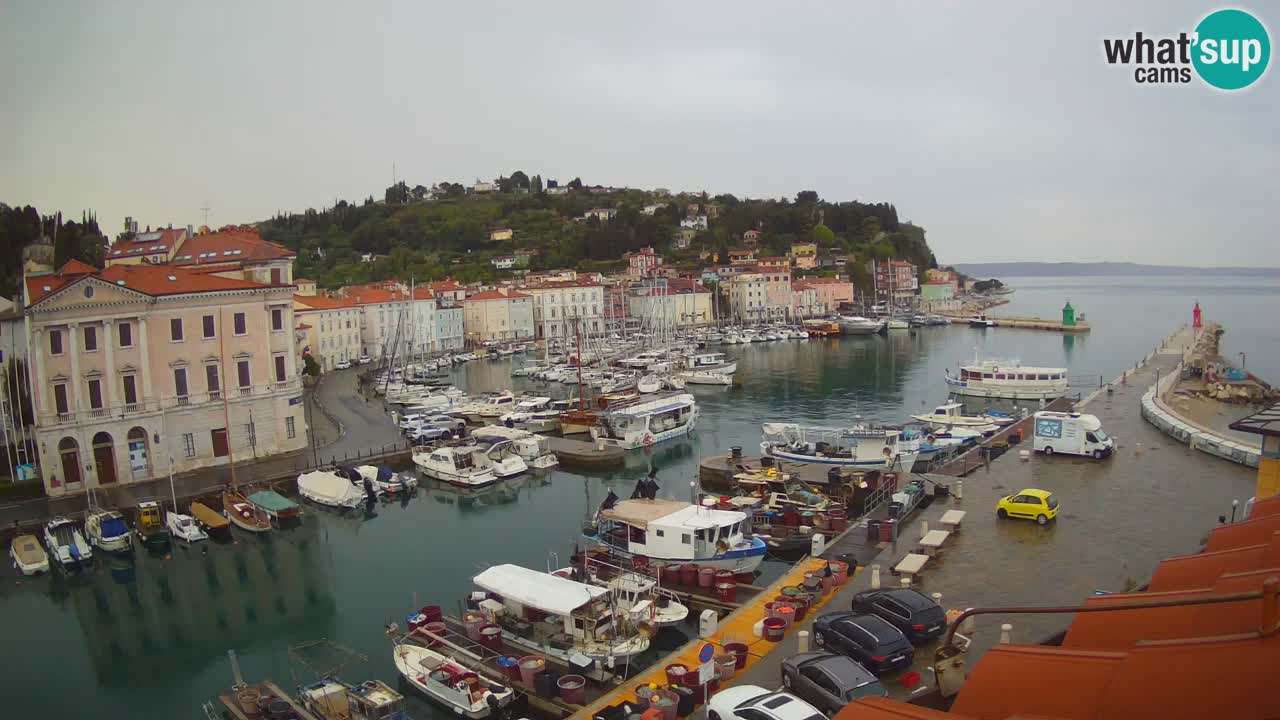 Live webcam da Pirano “Mandrač” – Splendida vista live da Villa Piranesi