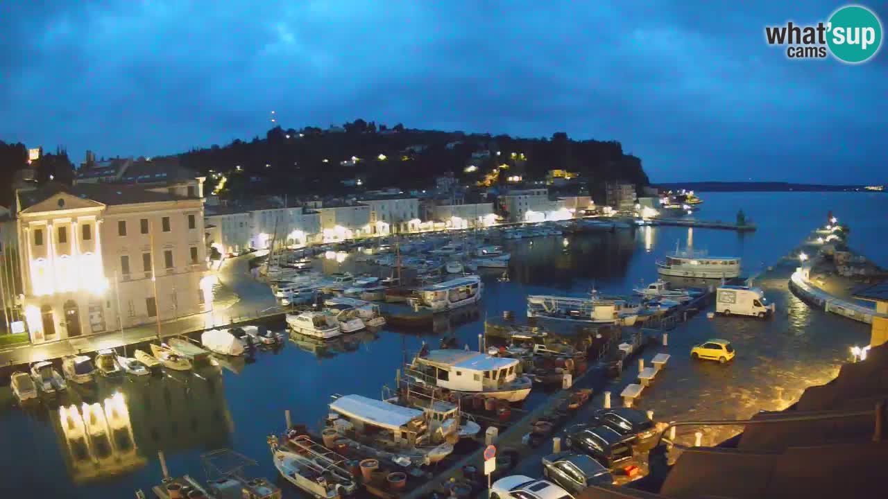 Web kamera uživo iz Pirana “Mandrač” – Nevjerojatan pogled uživo iz Ville Piranesi