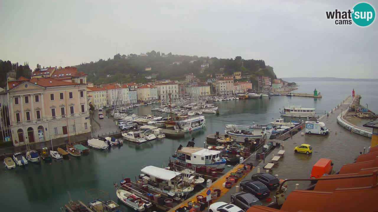 Live-Webcam aus Piran “Mandrač” – Erstaunliche Live-Ansicht von Villa Piranesi