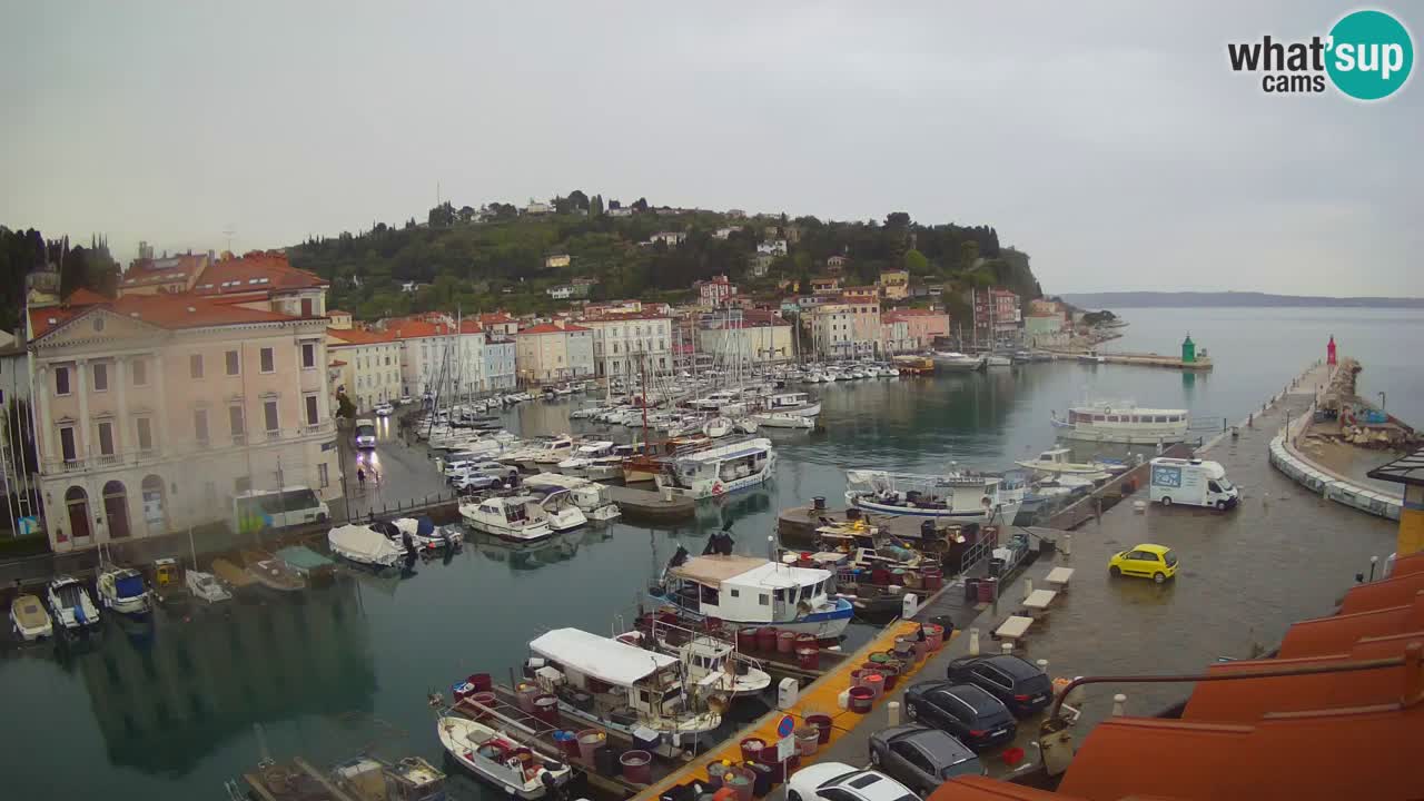 Webcam en direct de Piran “Mandrač” – Incroyable vue en direct de la Villa Piranesi