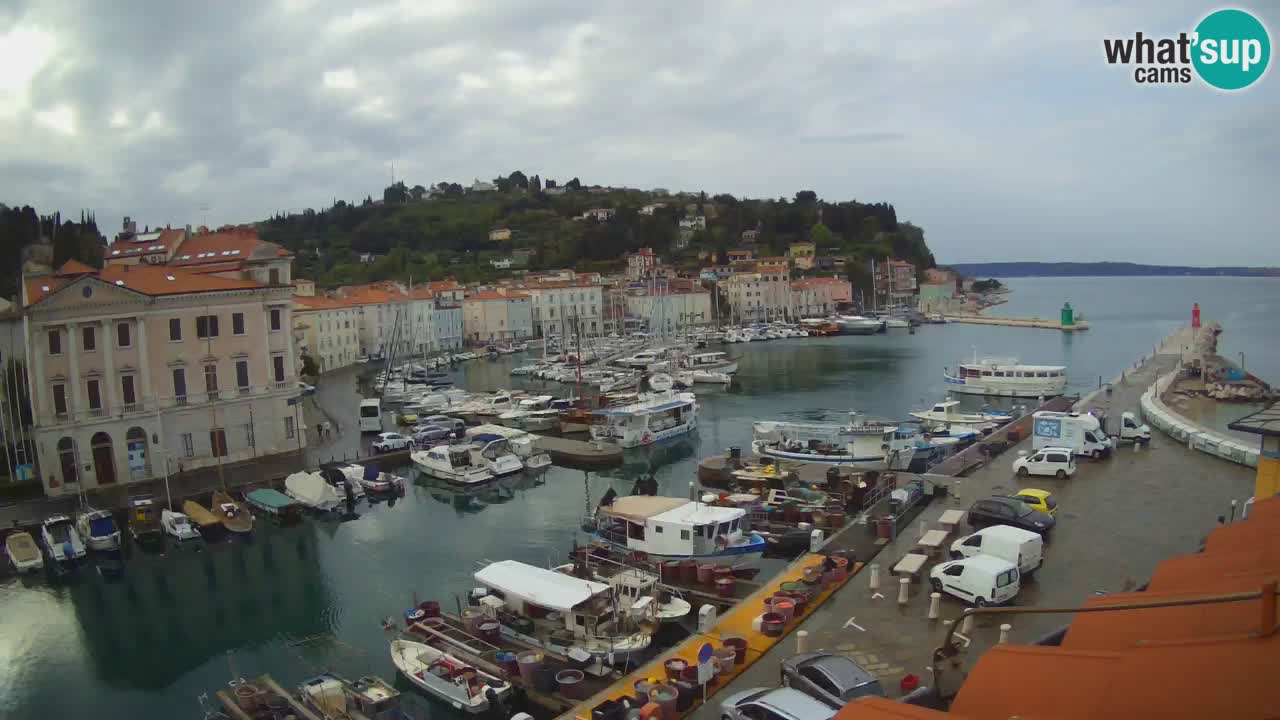 Live webcam da Pirano “Mandrač” – Splendida vista live da Villa Piranesi