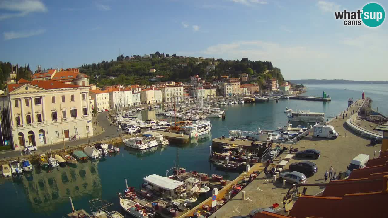 Web kamera uživo iz Pirana “Mandrač” – Nevjerojatan pogled uživo iz Ville Piranesi