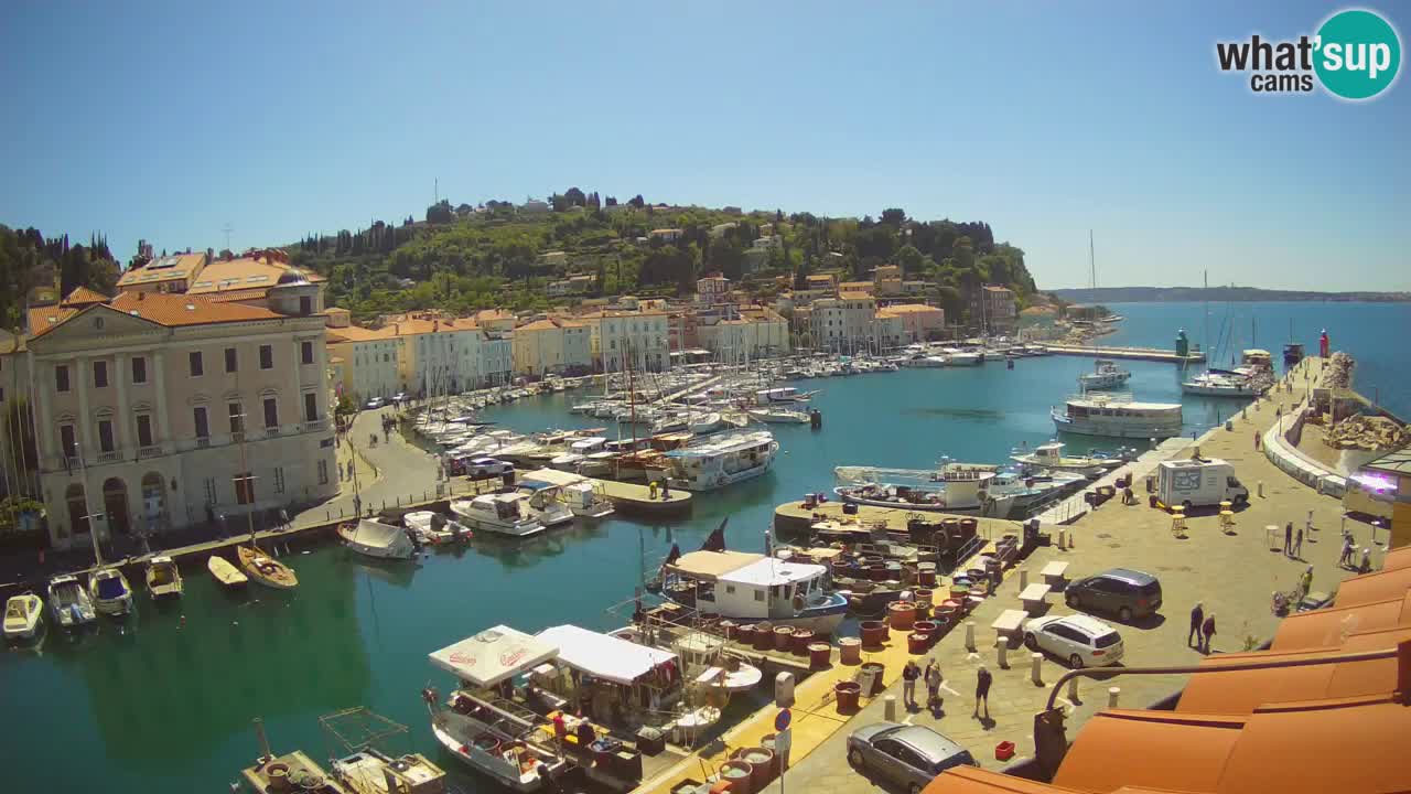 Live webcam da Pirano “Mandrač” – Splendida vista live da Villa Piranesi