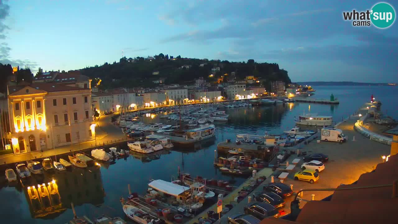 Iz Pirana Spletna kamera v živo “Mandrač” – Neverjeten pogled v živo iz Vile Piranesi