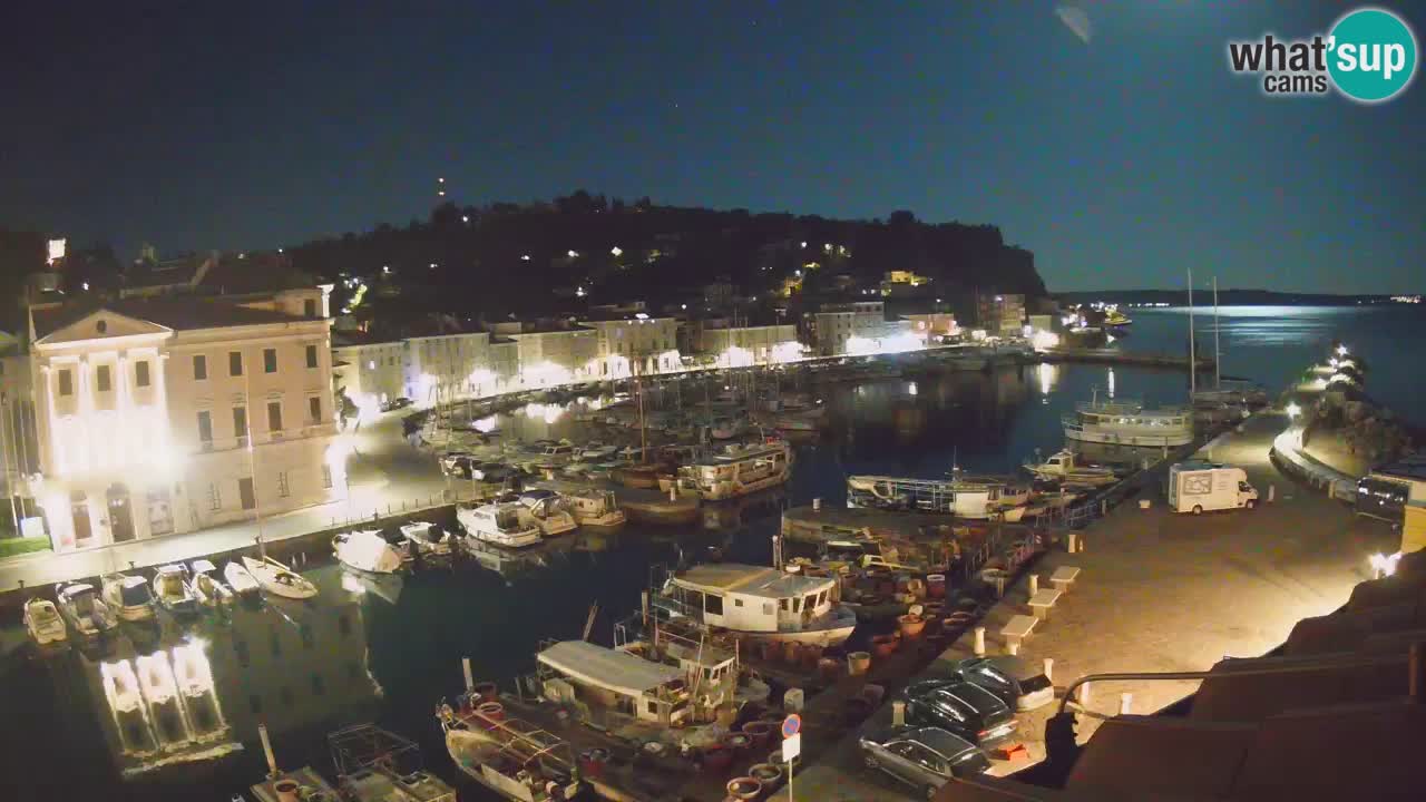 Iz Pirana Spletna kamera v živo “Mandrač” – Neverjeten pogled v živo iz Vile Piranesi