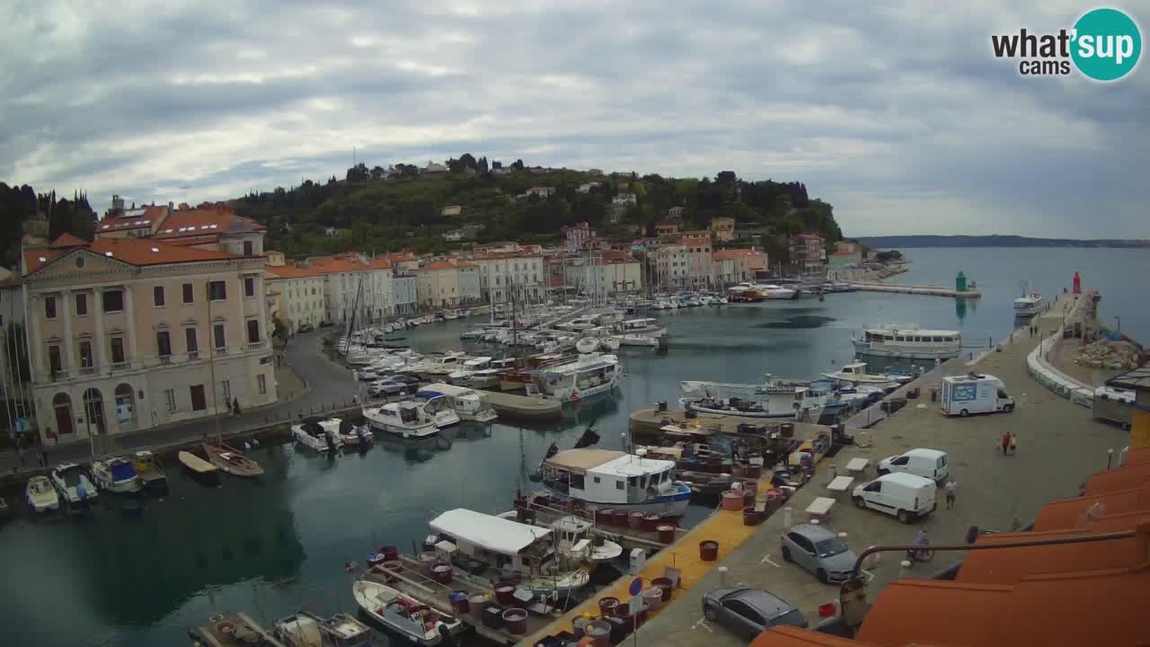 Iz Pirana Spletna kamera v živo “Mandrač” – Neverjeten pogled v živo iz Vile Piranesi