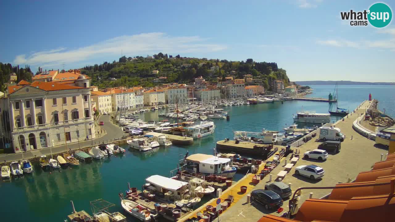 Web kamera uživo iz Pirana “Mandrač” – Nevjerojatan pogled uživo iz Ville Piranesi