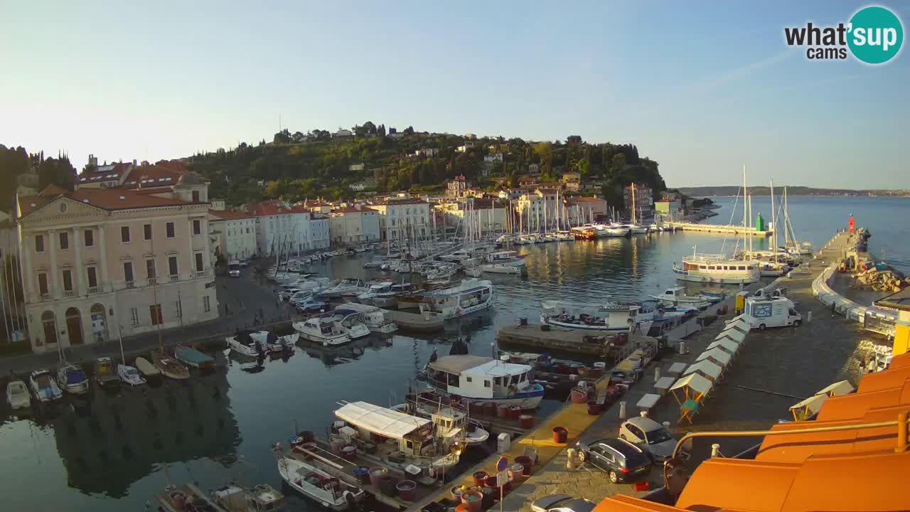 Iz Pirana Spletna kamera v živo “Mandrač” – Neverjeten pogled v živo iz Vile Piranesi