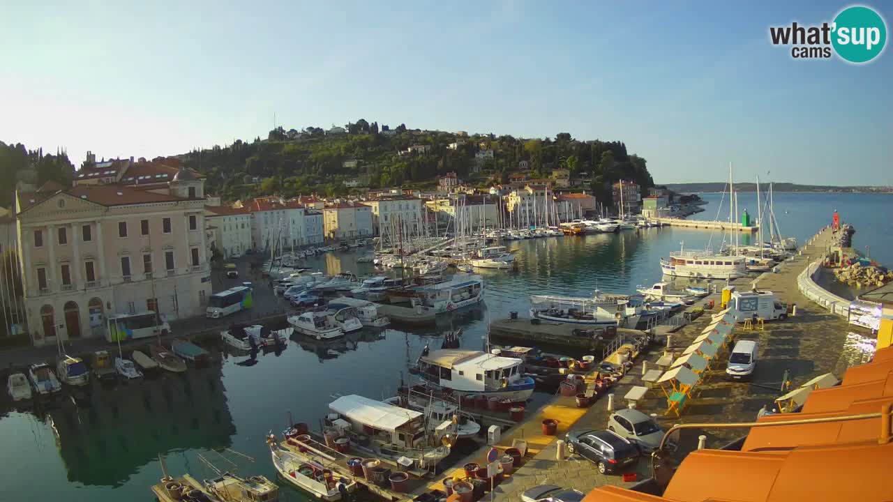Live webcam da Pirano “Mandrač” – Splendida vista live da Villa Piranesi
