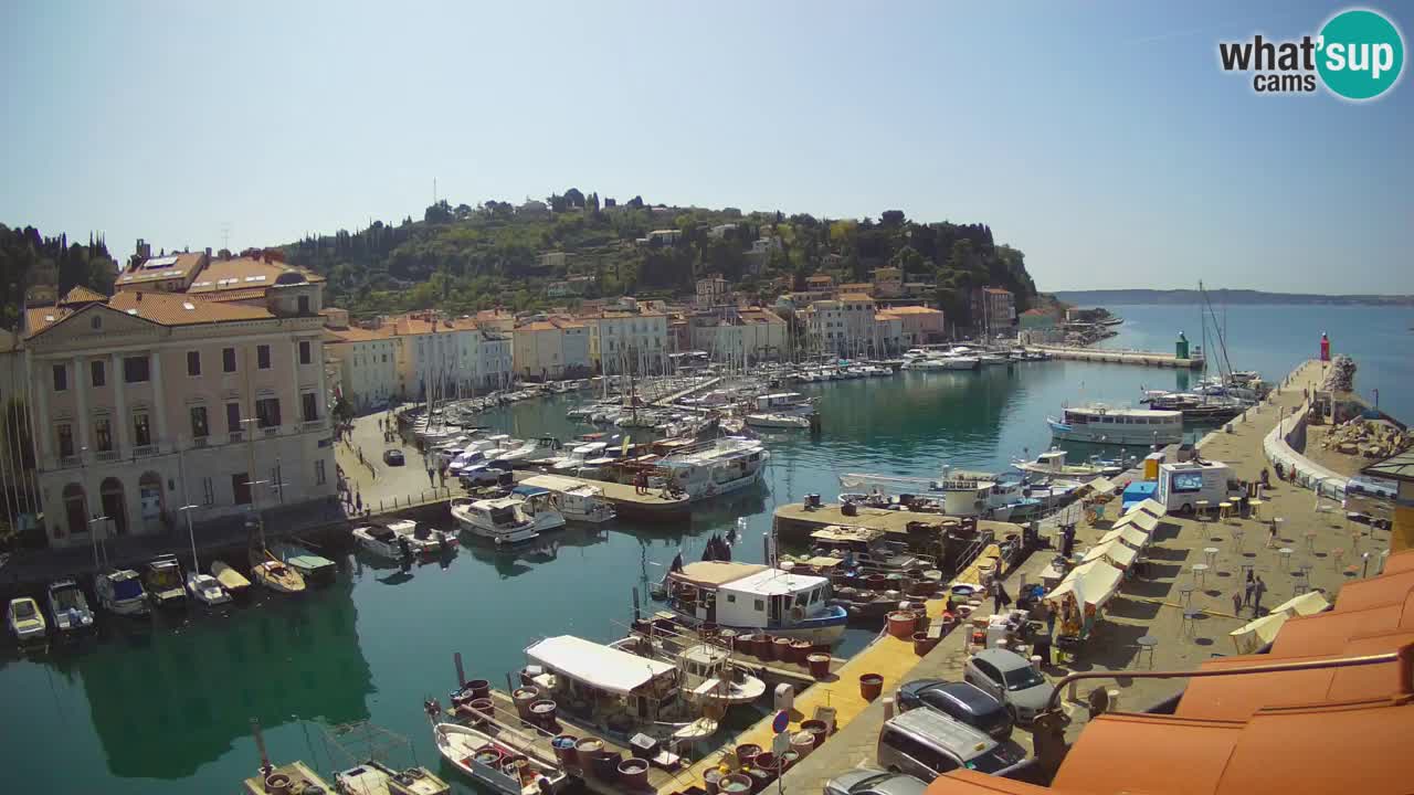 Live webcam da Pirano “Mandrač” – Splendida vista live da Villa Piranesi