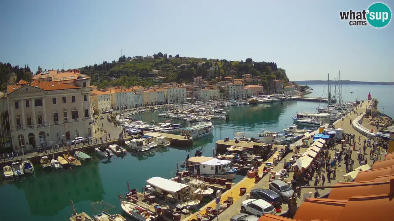 Webcam en direct de Piran “Mandrač” – Incroyable vue en direct de la Villa Piranesi