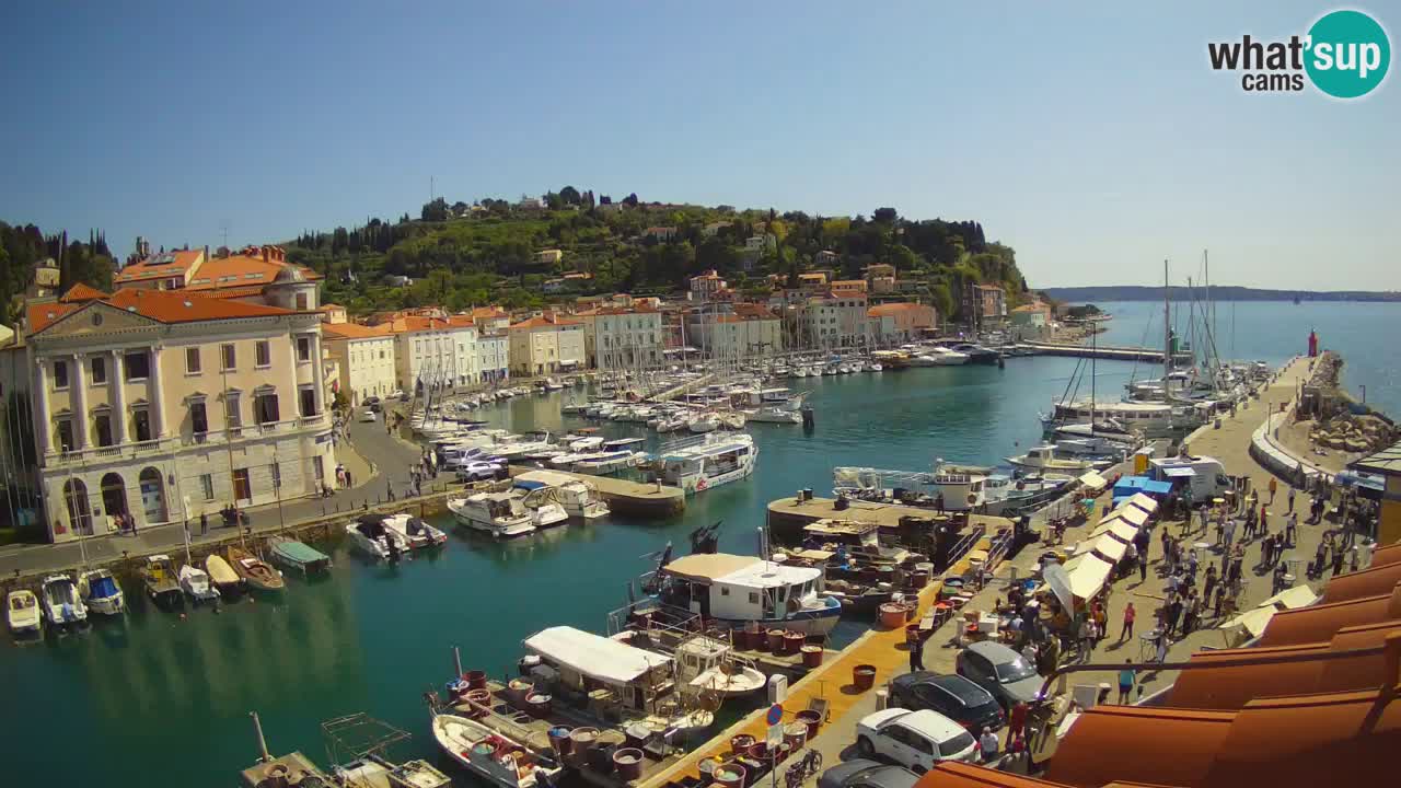 Webcam en direct de Piran “Mandrač” – Incroyable vue en direct de la Villa Piranesi