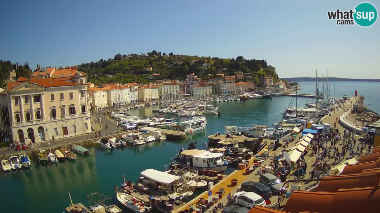 Live-Webcam aus Piran “Mandrač” – Erstaunliche Live-Ansicht von Villa Piranesi