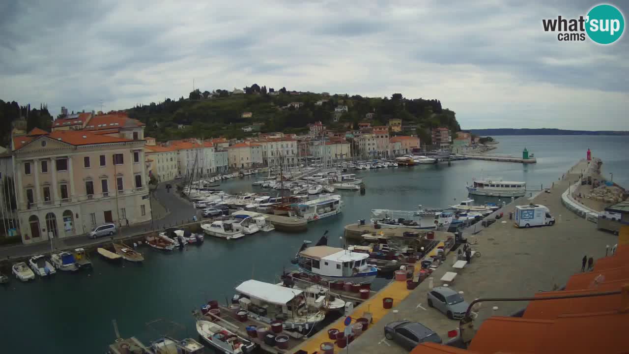 Iz Pirana Spletna kamera v živo “Mandrač” – Neverjeten pogled v živo iz Vile Piranesi