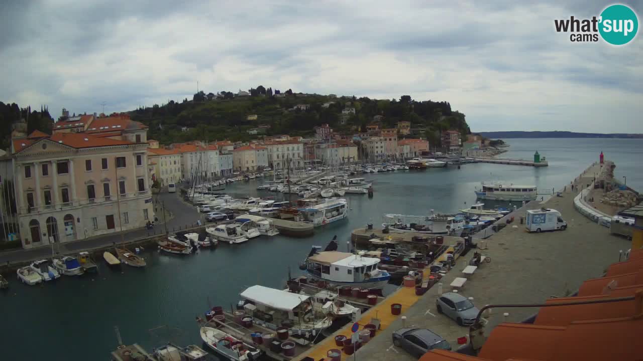 Live webcam da Pirano “Mandrač” – Splendida vista live da Villa Piranesi