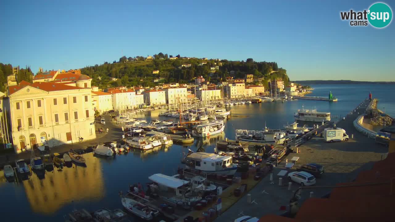 Web kamera uživo iz Pirana “Mandrač” – Nevjerojatan pogled uživo iz Ville Piranesi