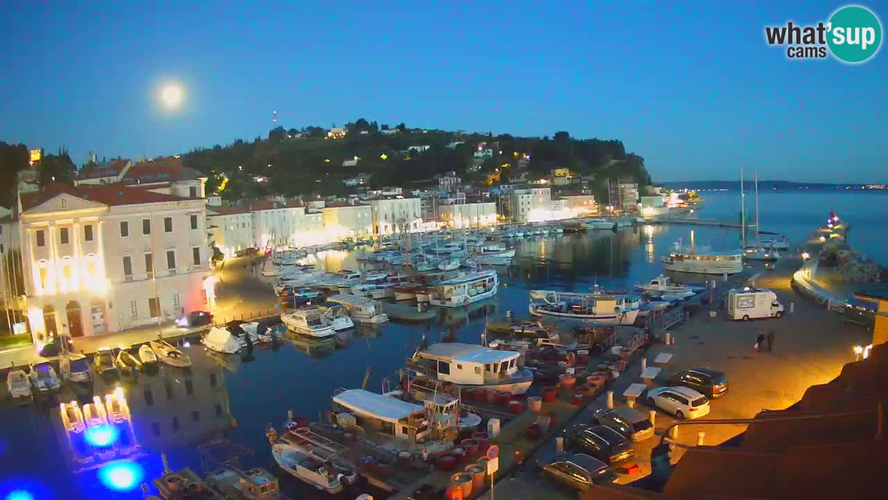 Web kamera uživo iz Pirana “Mandrač” – Nevjerojatan pogled uživo iz Ville Piranesi