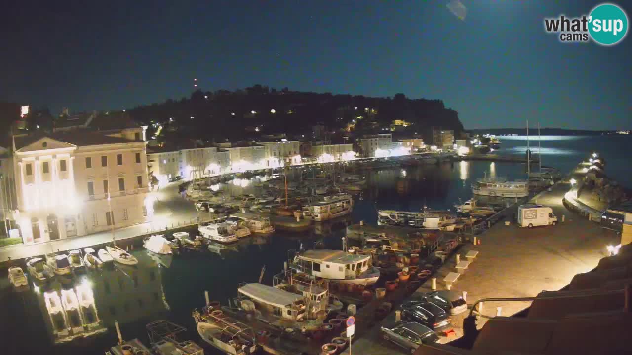 Iz Pirana Spletna kamera v živo “Mandrač” – Neverjeten pogled v živo iz Vile Piranesi