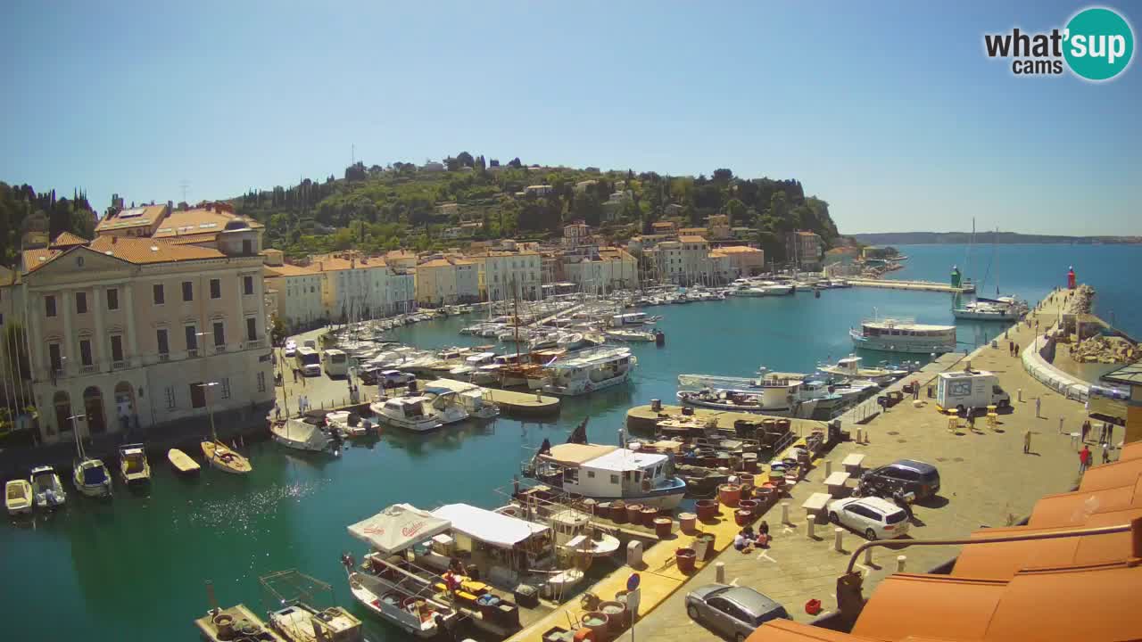 Live-Webcam aus Piran “Mandrač” – Erstaunliche Live-Ansicht von Villa Piranesi