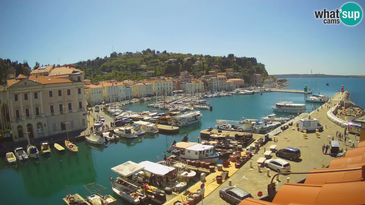 Live webcam da Pirano “Mandrač” – Splendida vista live da Villa Piranesi