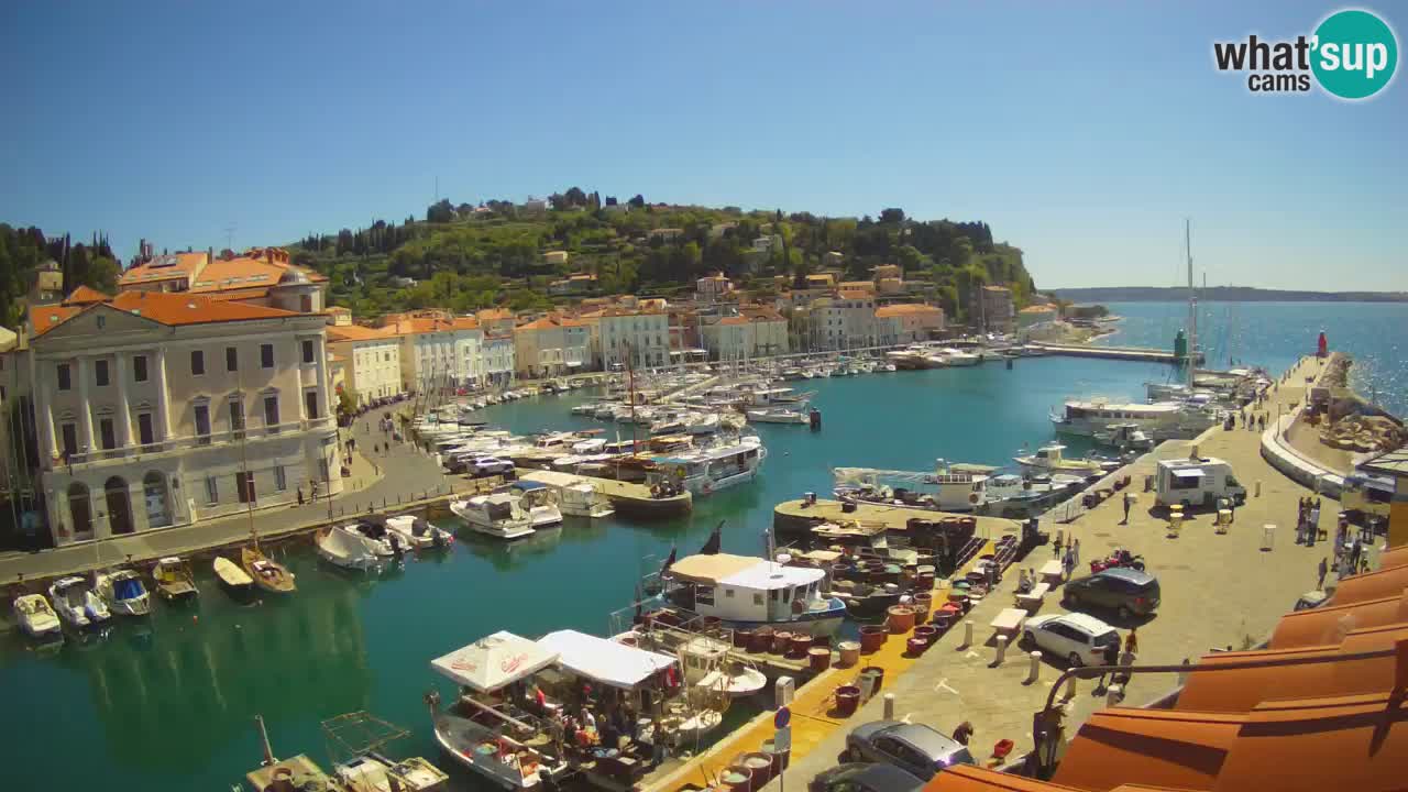 Live webcam da Pirano “Mandrač” – Splendida vista live da Villa Piranesi