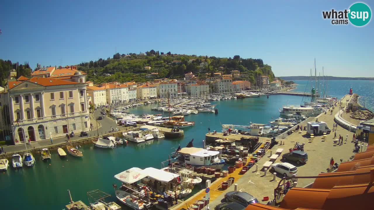 Live-Webcam aus Piran “Mandrač” – Erstaunliche Live-Ansicht von Villa Piranesi