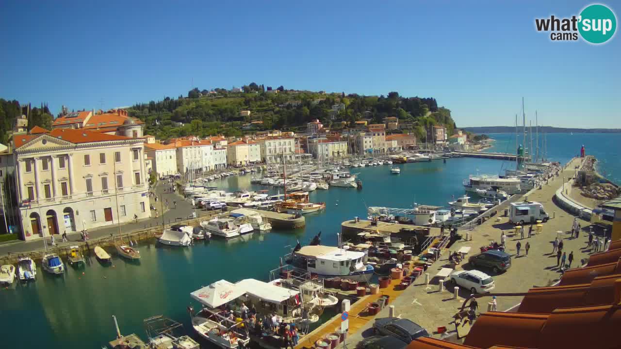 Live-Webcam aus Piran “Mandrač” – Erstaunliche Live-Ansicht von Villa Piranesi