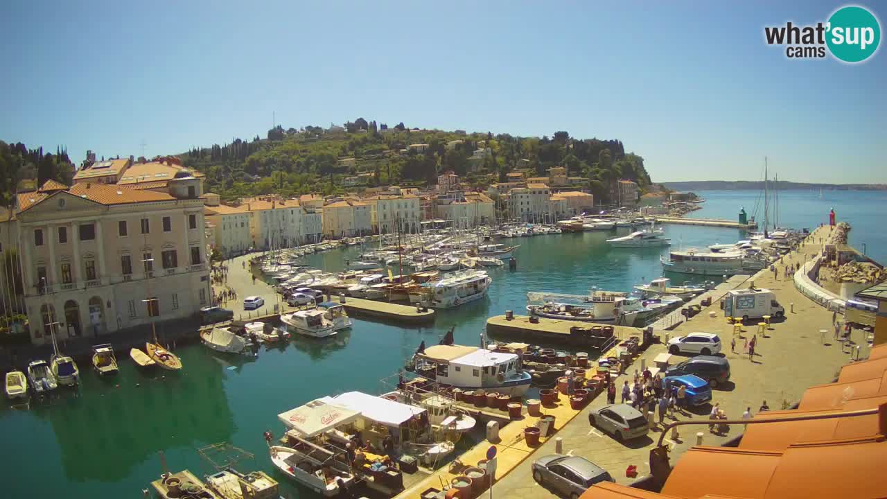 Live webcam da Pirano “Mandrač” – Splendida vista live da Villa Piranesi