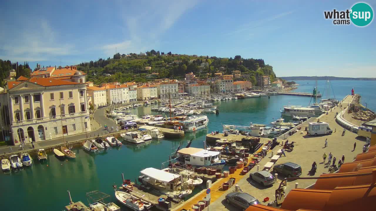 Live webcam da Pirano “Mandrač” – Splendida vista live da Villa Piranesi