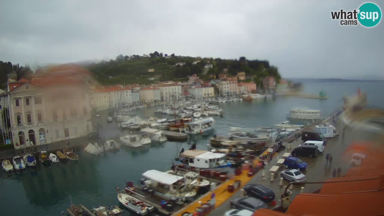 Web kamera uživo iz Pirana “Mandrač” – Nevjerojatan pogled uživo iz Ville Piranesi