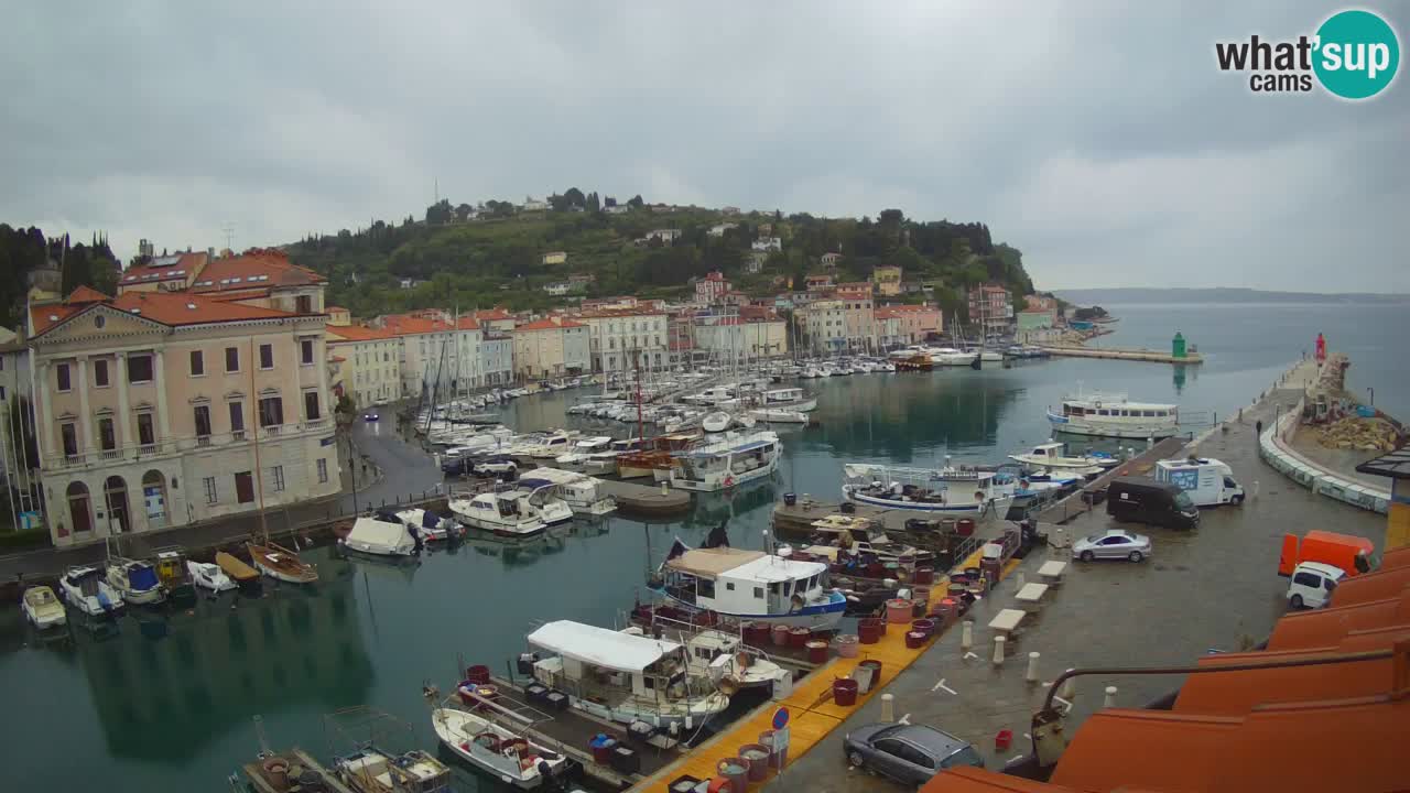 Iz Pirana Spletna kamera v živo “Mandrač” – Neverjeten pogled v živo iz Vile Piranesi