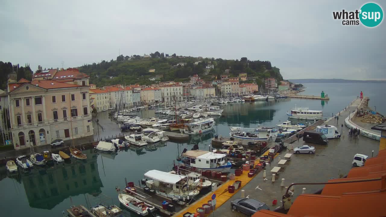 Web kamera uživo iz Pirana “Mandrač” – Nevjerojatan pogled uživo iz Ville Piranesi