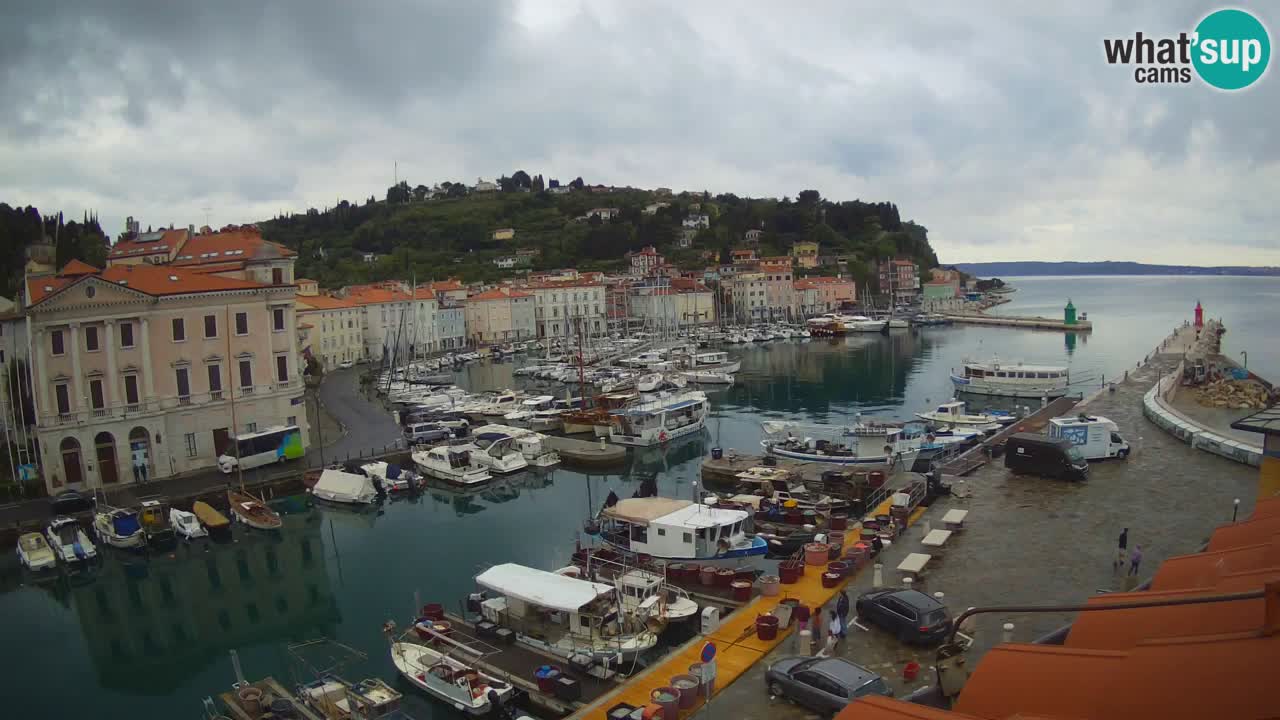 Live webcam da Pirano “Mandrač” – Splendida vista live da Villa Piranesi