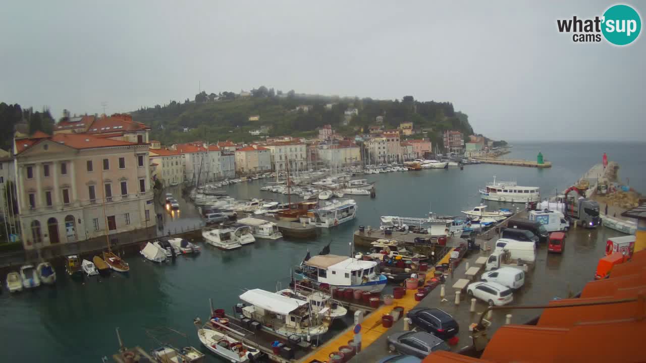 Live webcam from Piran “Mandrač” – Amazing live view from Villa Piranesi