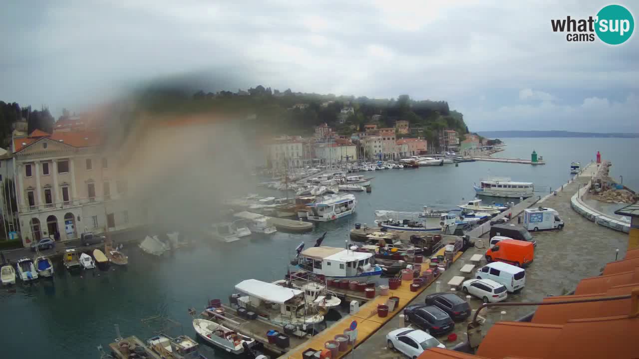 Live webcam from Piran “Mandrač” – Amazing live view from Villa Piranesi