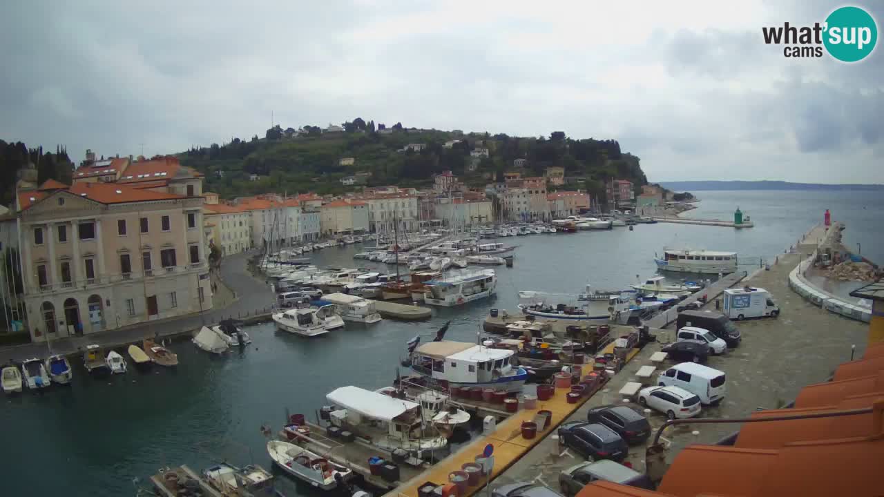 Live-Webcam aus Piran “Mandrač” – Erstaunliche Live-Ansicht von Villa Piranesi
