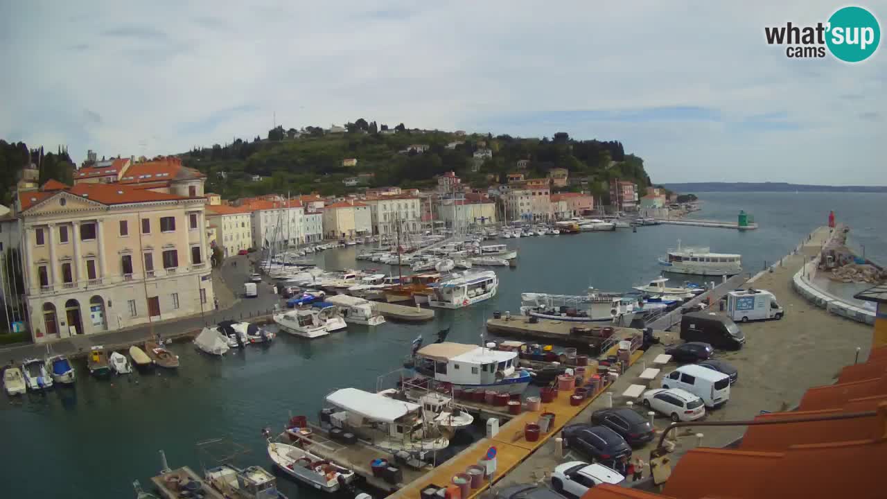 Live-Webcam aus Piran “Mandrač” – Erstaunliche Live-Ansicht von Villa Piranesi