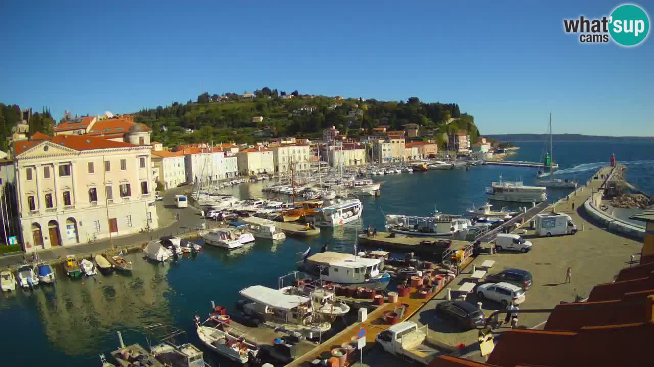 Live webcam da Pirano “Mandrač” – Splendida vista live da Villa Piranesi