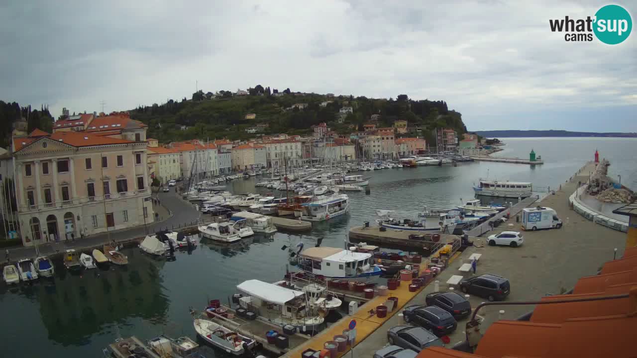 Live-Webcam aus Piran “Mandrač” – Erstaunliche Live-Ansicht von Villa Piranesi