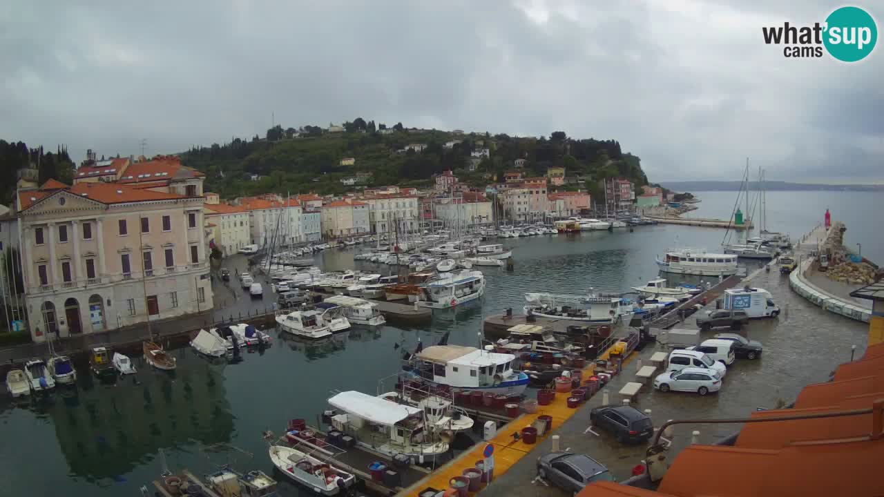 Live webcam from Piran “Mandrač” – Amazing live view from Villa Piranesi