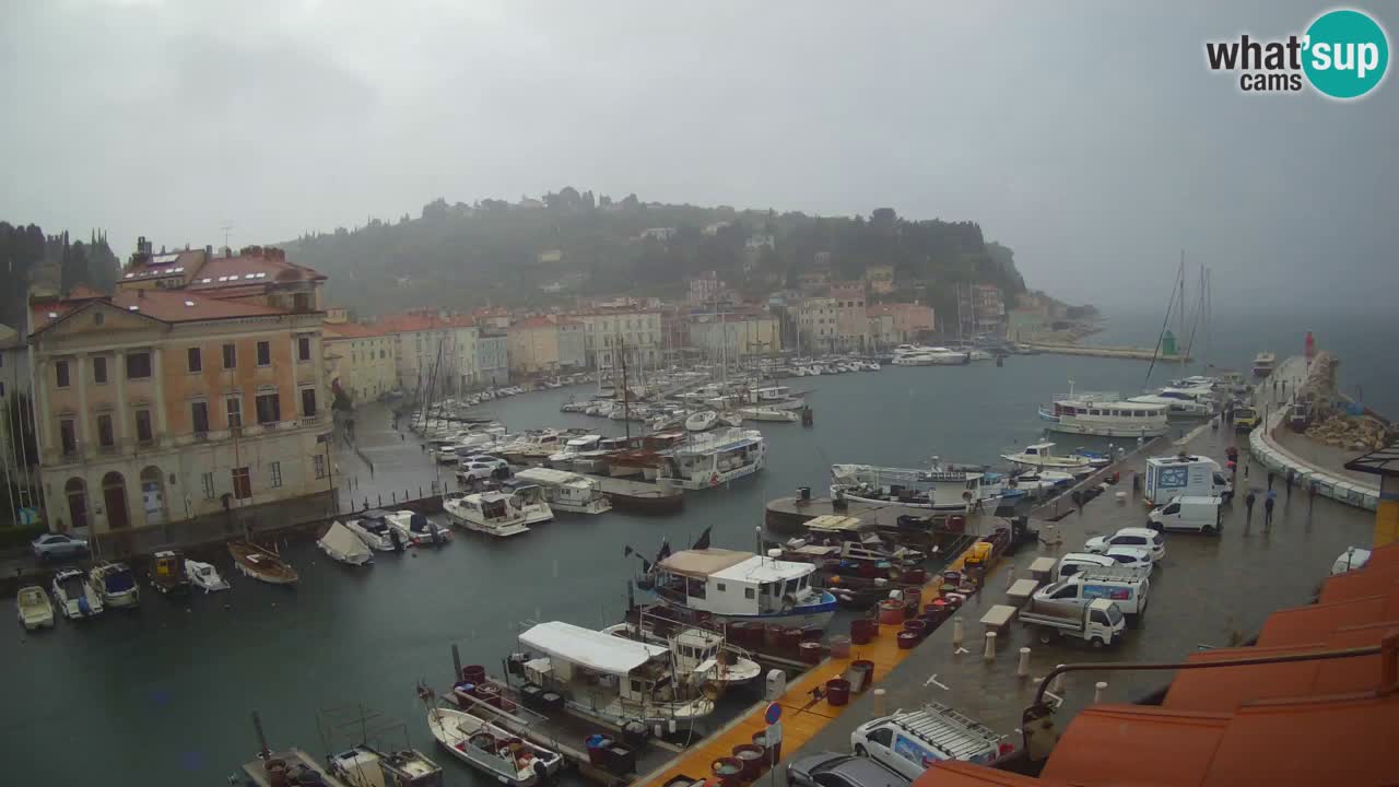 Live webcam from Piran “Mandrač” – Amazing live view from Villa Piranesi