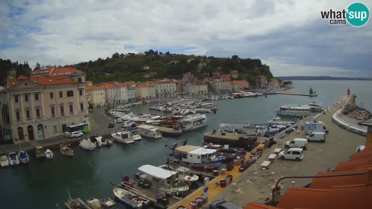 Webcam en direct de Piran “Mandrač” – Incroyable vue en direct de la Villa Piranesi