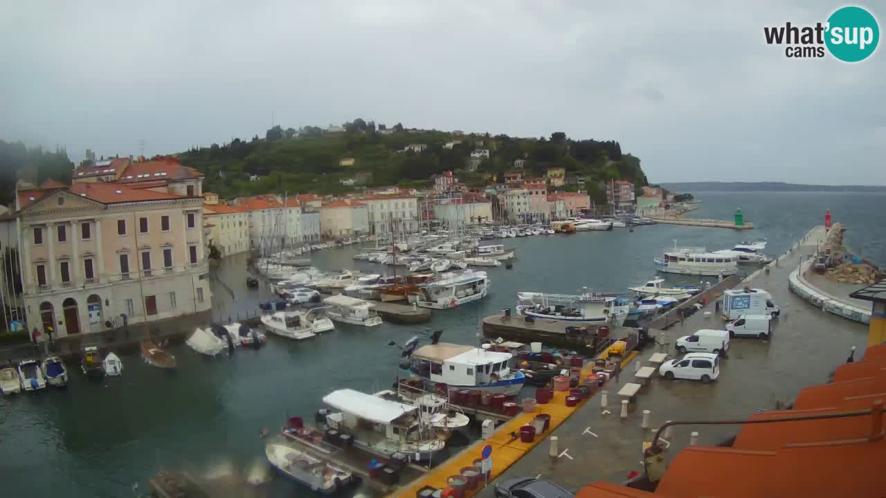 Webcam en direct de Piran “Mandrač” – Incroyable vue en direct de la Villa Piranesi