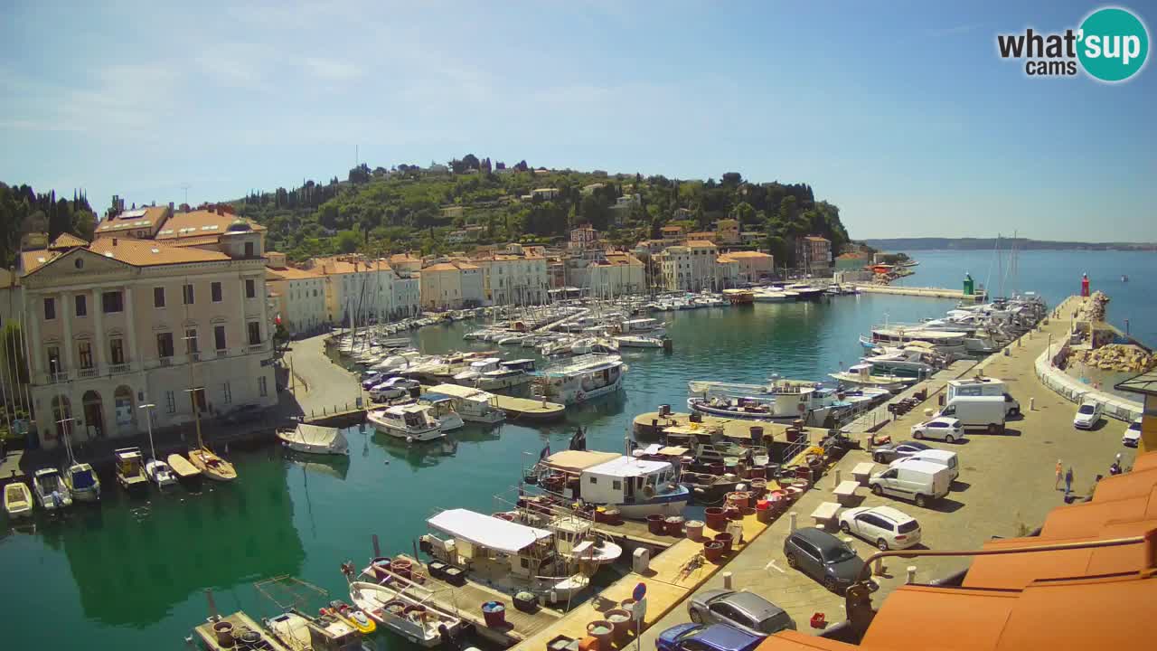 Live webcam da Pirano “Mandrač” – Splendida vista live da Villa Piranesi