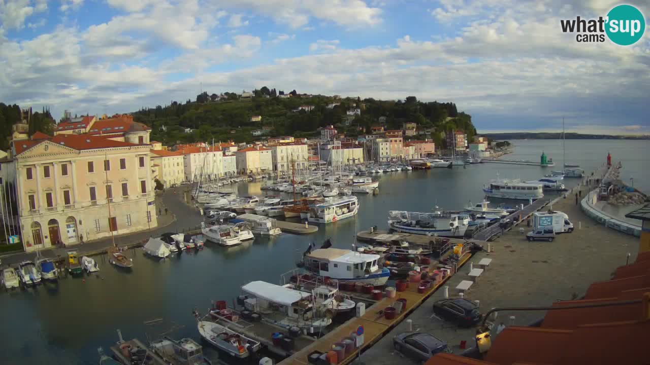 Web kamera uživo iz Pirana “Mandrač” – Nevjerojatan pogled uživo iz Ville Piranesi