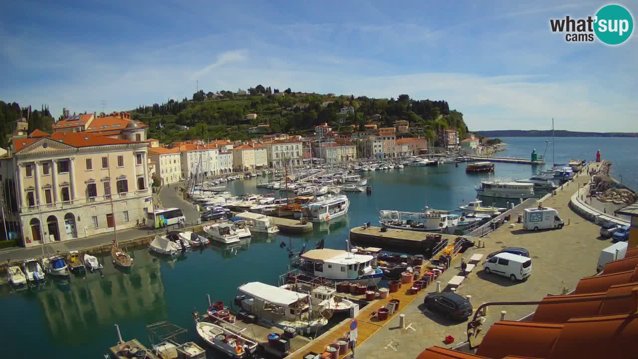 Iz Pirana Spletna kamera v živo “Mandrač” – Neverjeten pogled v živo iz Vile Piranesi