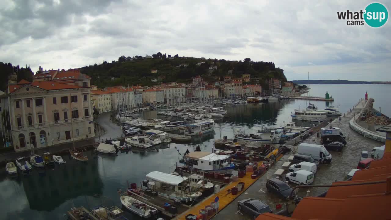 Live webcam from Piran “Mandrač” – Amazing live view from Villa Piranesi